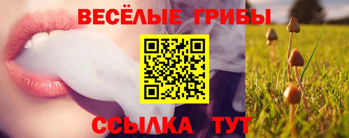Галлюциногенные грибы Psilocybe  Вход с VPN  Псилоцибиновые грибы прущие грибы  Щёлково 